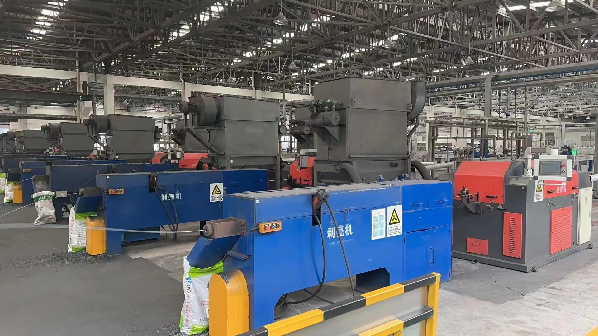 Wire rod pre-treatment line from the material documents